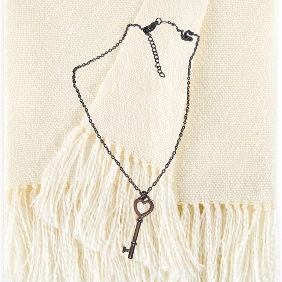 .🎄10/$20. Silver Tone Choker with a Cooper Color Key - Picture 4 of 4